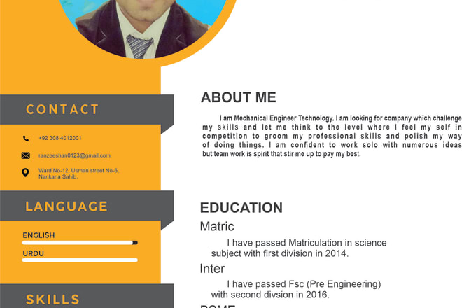 I will provide a professional resume writing service