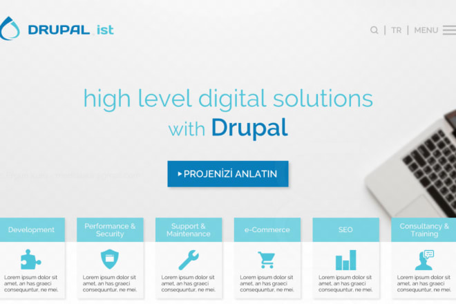 I will provide drupal site building and theme development