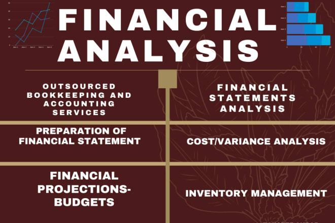 I will provide financial analysis, project report, ratio analysis, accounting