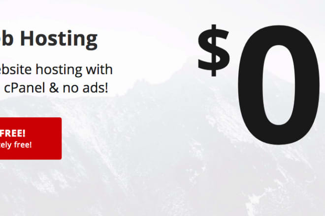 I will provide free domain hosting services for your website