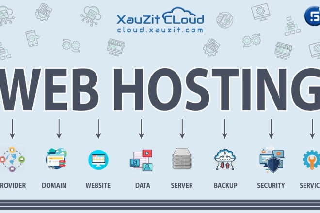 I will provide premium hosting services