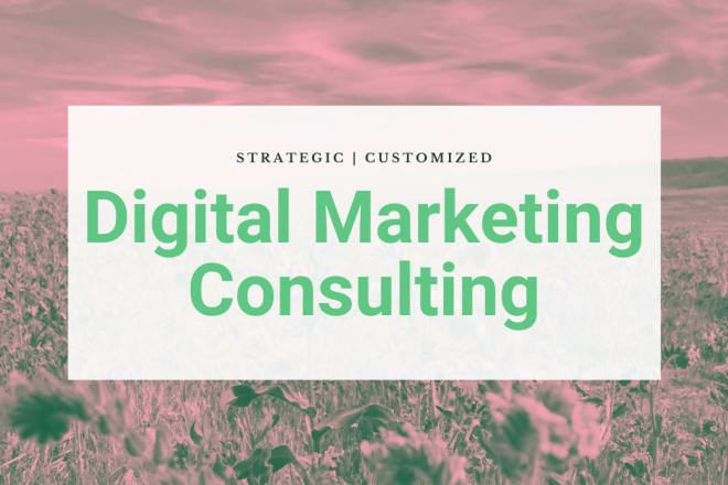 I will provide strategic digital marketing consulting