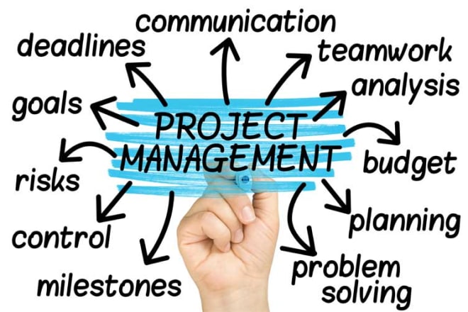 I will provide you end to end innovation project management support