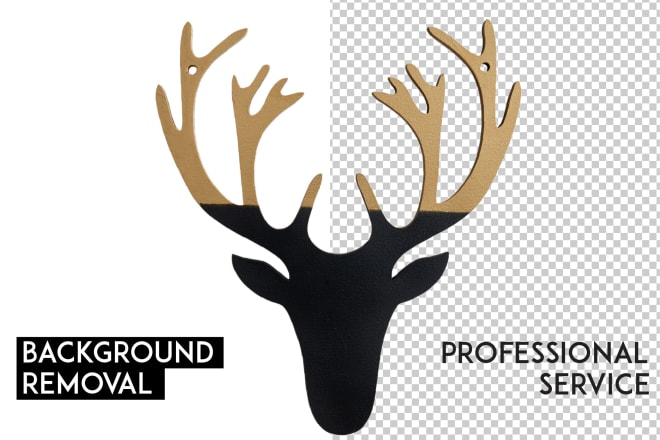 I will remove background from image in photoshop