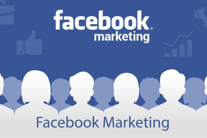 I will run you marketing campaigns with better return on investment