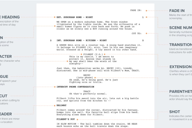 I will script your feature shorts anime expm adds