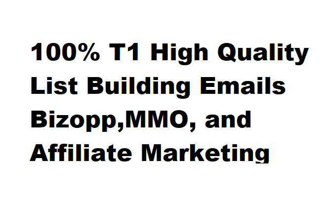 I will send tier1 traffic to your biz opp mmo or affiliate marketing offer