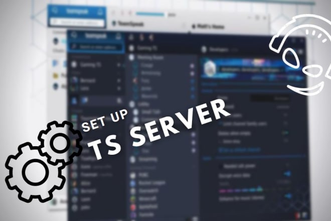 I will set up your teamspeak server