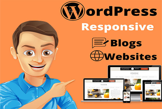I will setup a professional wordpress blogs and website
