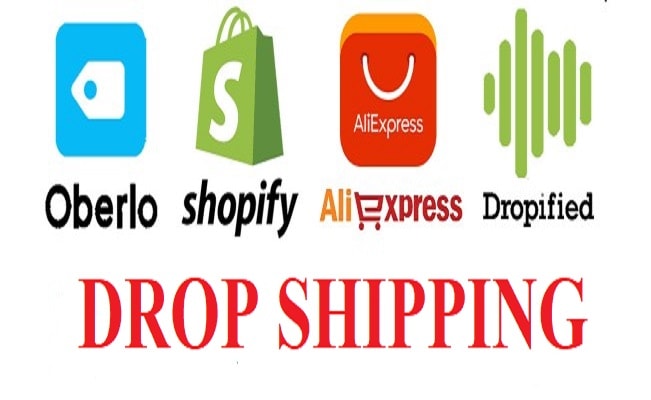 I will setup drop shipping store