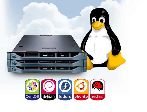 I will setup linux vpn ftp dns email samba webmin