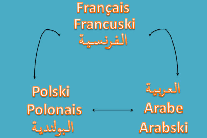 I will translate all kind of texts between english french polish and arabic