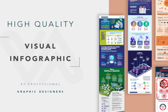 I will turn plain, boring data or text into visual appealing infographics