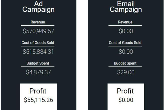 I will tutor stukent mimic pro simulation and digital marketing