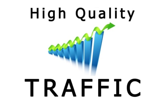 I will unlimited genuine real website traffic for 6 months