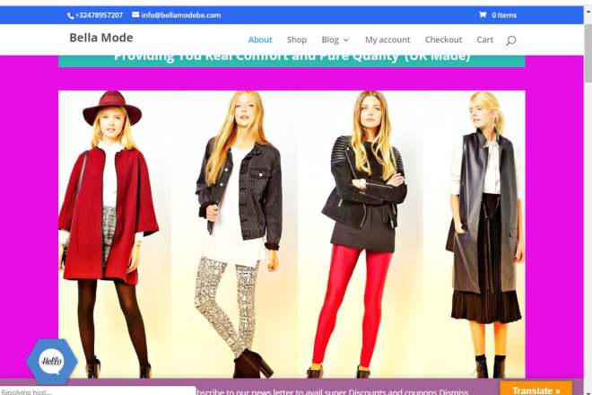 I will wordpress responsive website store