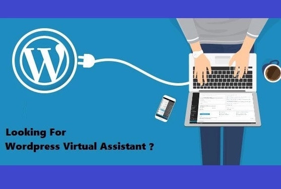 I will work as a virtual assistant of your wordpress site
