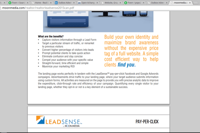 I will write incredibly persuasive sales or web copy for you