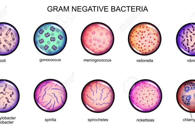 I will write microbiology articles and blog posts