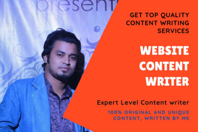 I will write SEO website content and provide copywriting services