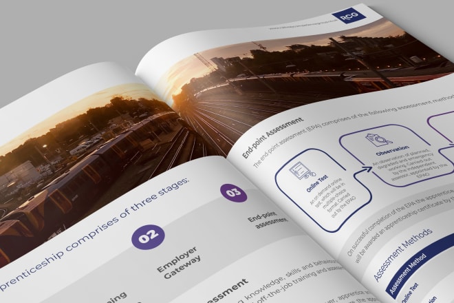 Our studio will design your infographic style brochure