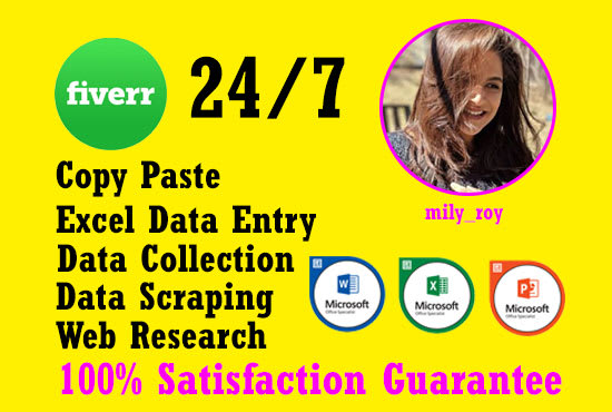 I will be data entry, copy paste, web research, web scraping and excel data entry