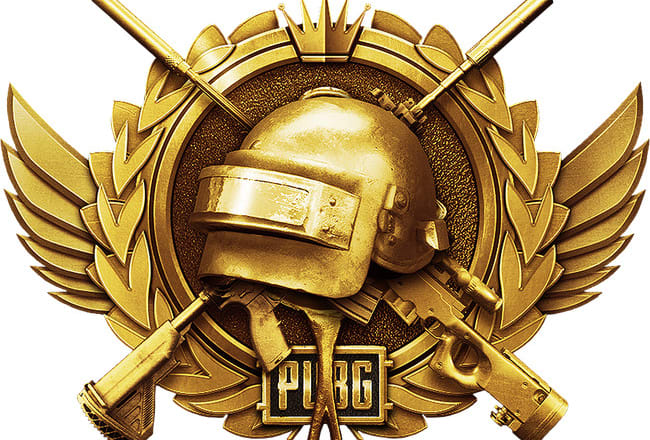 I will be the best trainer and rank pusher for pubg