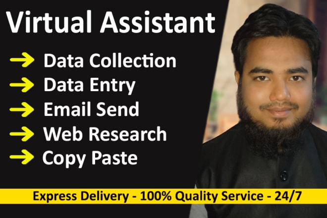 I will be your professional virtual assistant
