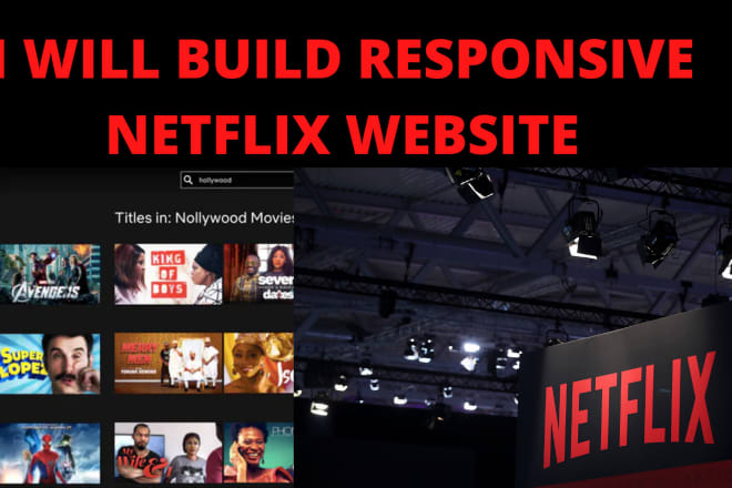 I will build an attractive clone netflix website