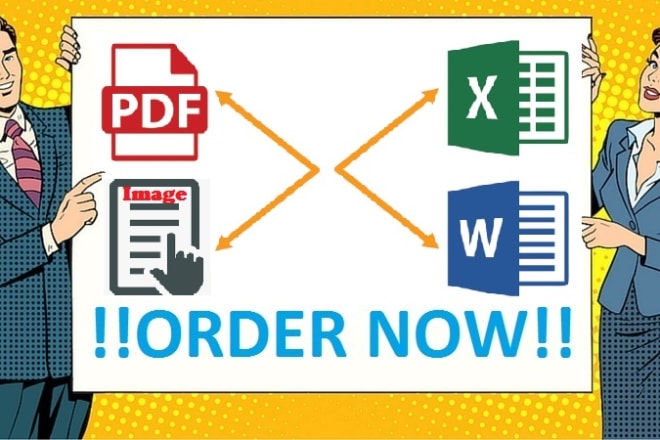 I will convert PDF or image to excel or word