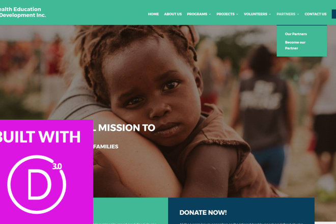 I will create a full website with wordpress and divi