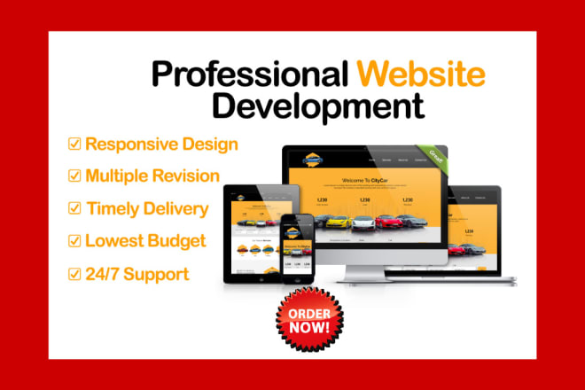 I will create a professional website with responsive design at a low cost
