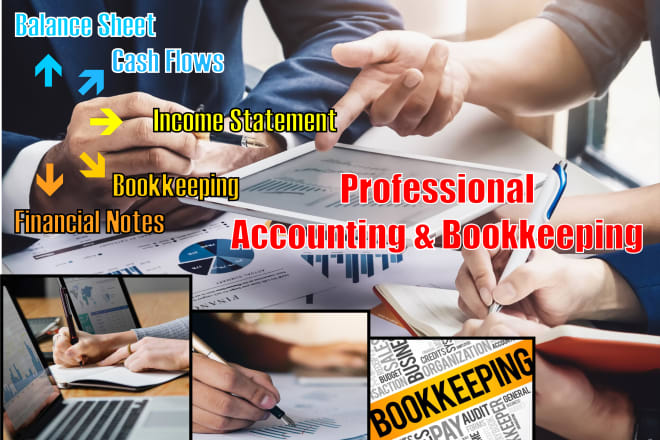 I will create profit and loss accounts, balance sheet for you