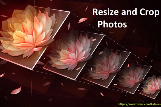 I will crop images, resize photos, remove image background