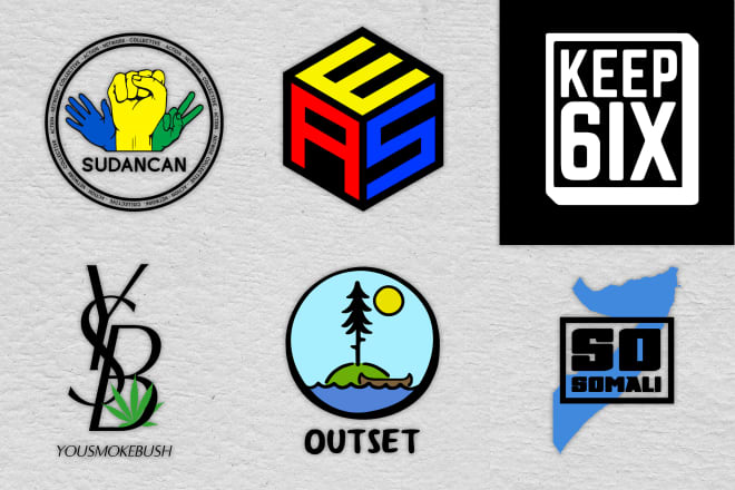 I will design your stunning professional logo