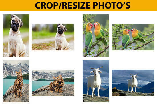 I will do crop photo and resize picture in photoshop
