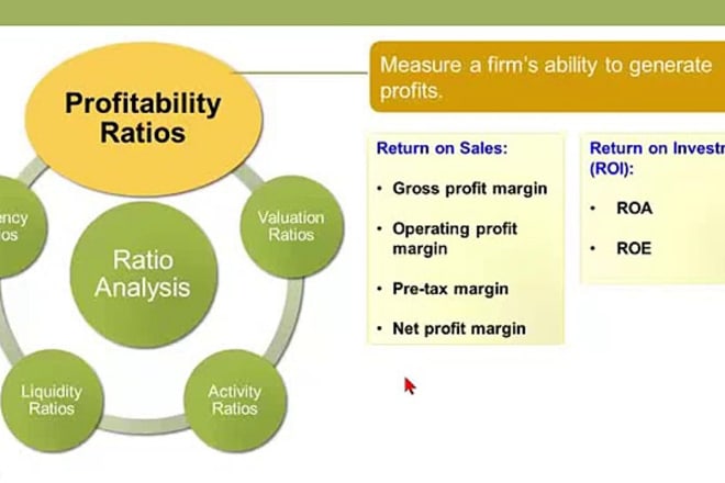 I will do financial analysis, npv, irr, dcf wacc, cashflows, ratios