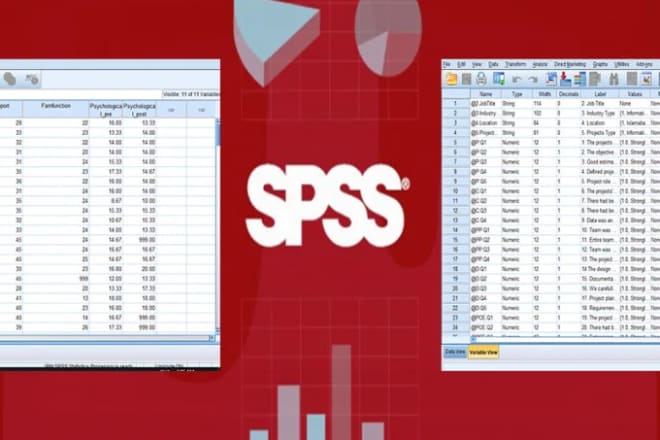 I will do statistical data analysis on spss, excel or miintab