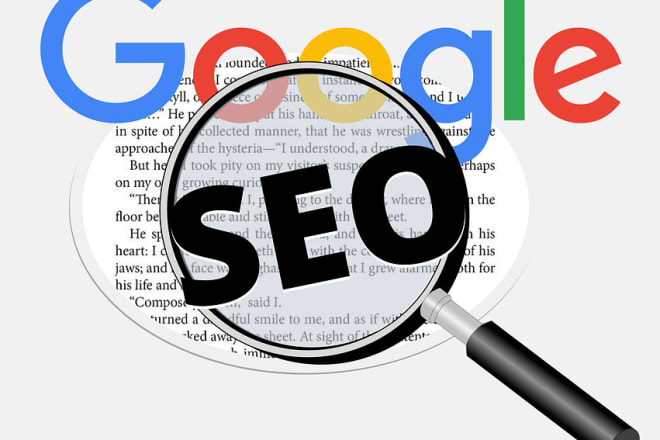 I will drip feed link building service best offer for SEO