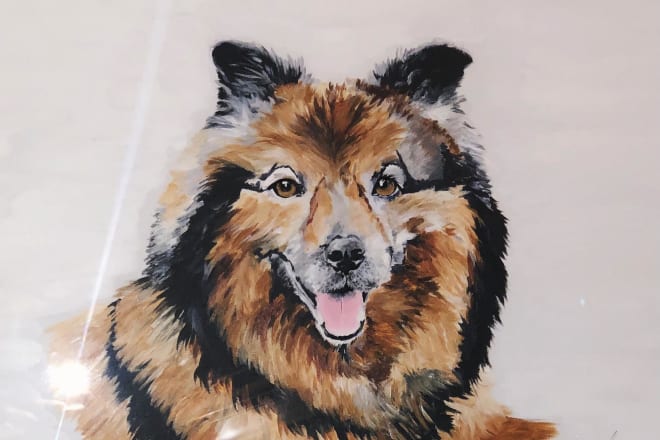 I will hand paint animal portraits using acrylic paints