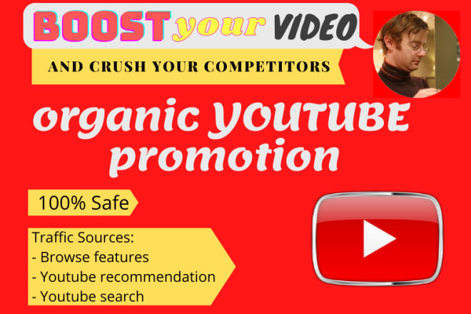 I will handle organic youtube promotion of your video