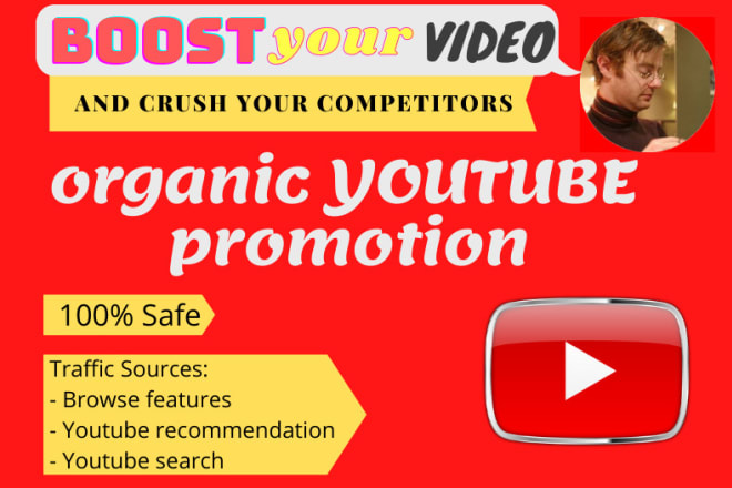 I will handle organic youtube promotion of your video