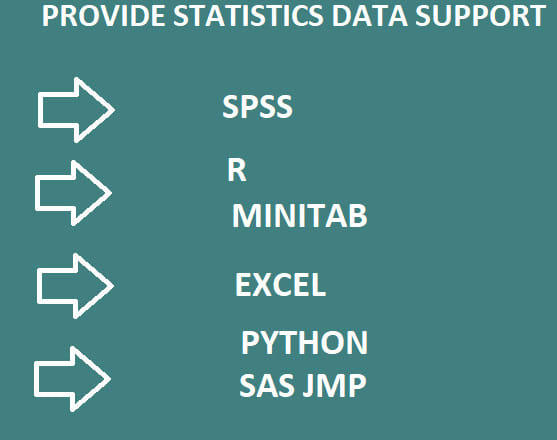 I will hypothesis testing,spss,r,minitab,stata and excel