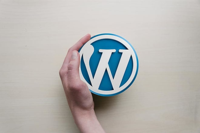 I will install and customize your wordpress theme