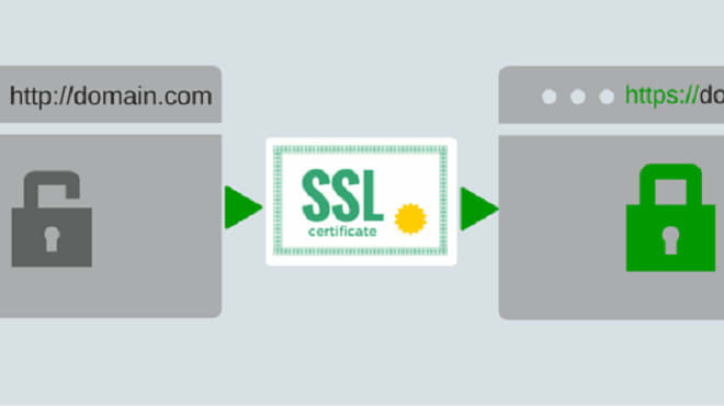 I will install free ssl or configure ssl on your web server