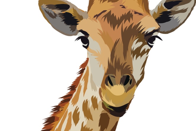 I will make animal digital illustrations