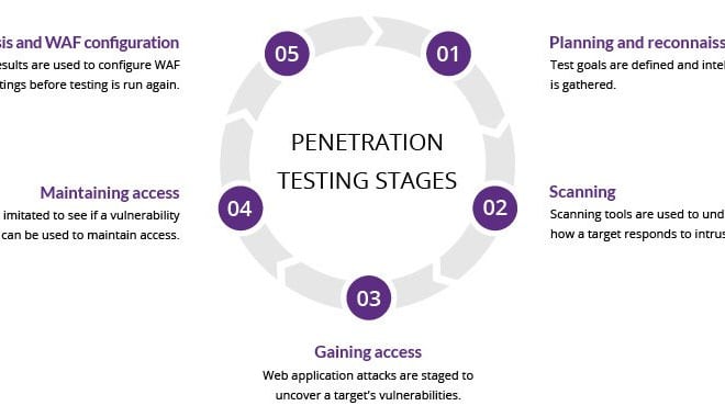 I will perform pentesting of your website