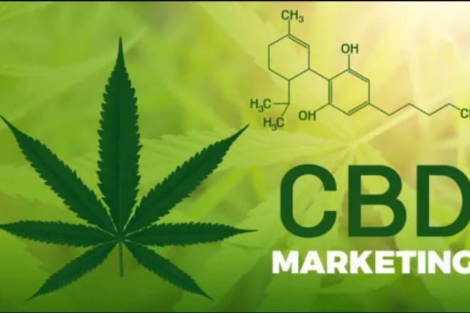 I will promote your cbd website, mlm, ptc, ppc website