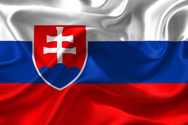 I will provide professional english to slovak translation