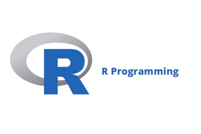 I will r programming as expert